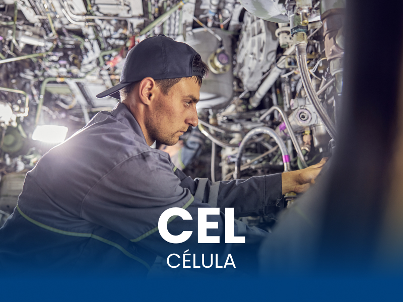 Curso de Mecânico de Aeronaves EaD AERO TD Módulo Célula Curso de Mecânico de Aeronaves EaD AERO TD Módulo Célula